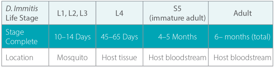 D.Immitus Life Stage